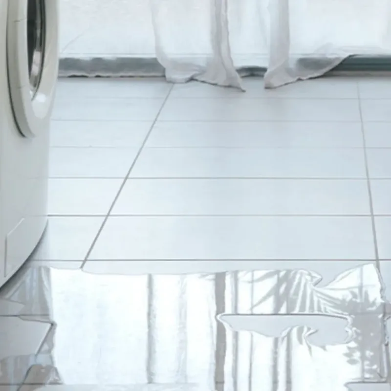 Appliance Leak Cleanup in Ontonagon County, MI