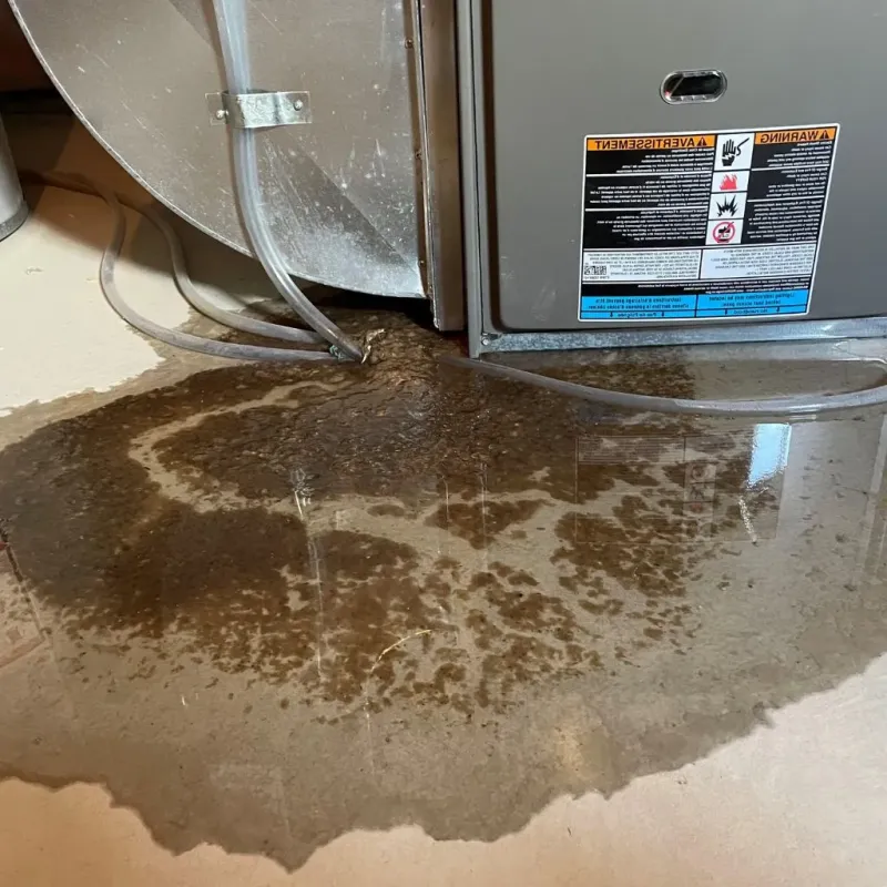 Pipe Burst and Leak Restoration in Ontonagon County, MI